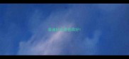 泰迪好还是贵宾好