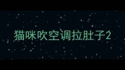 猫咪吹空调拉肚子