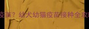 驱虫后多久能打疫苗幼犬幼猫疫苗接种全攻略附时间表