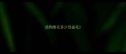 给狗推毛多少钱金毛