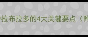 新手必看科学养护拉布拉多的4大关键要点附饮食运动全攻略