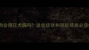 家养宠物狗会得狂犬病吗这些症状和预防措施必须知道