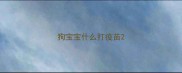 狗宝宝什么打疫苗