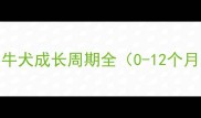 法牛犬成长周期全0-12个月