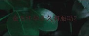 金毛怀孕多久有胎动
