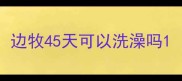 边牧45天可以洗澡吗