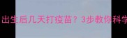 比熊幼犬必看出生后几天打疫苗3步教你科学免疫全攻略