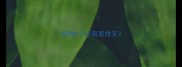 狗狗8个月有双排牙