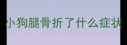 小狗腿骨折了什么症状
