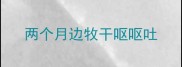 两个月边牧干呕呕吐