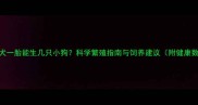 泰迪犬一胎能生几只小狗科学繁殖指南与饲养建议附健康数据