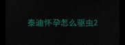 泰迪怀孕怎么驱虫