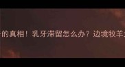 边牧7个月未换牙的真相乳牙滞留怎么办边境牧羊犬换牙期全攻略