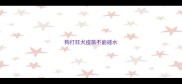 狗打狂犬疫苗不能碰水