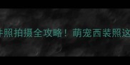 哈士奇西装证件照拍摄全攻略萌宠西装照这样拍才高级