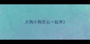 大狗小狗怎么一起养