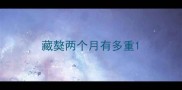 藏獒两个月有多重