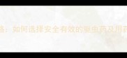 狗狗体内寄生虫全攻略如何选择安全有效的驱虫药及用药指南附品牌对比