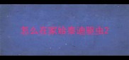 怎么在家给泰迪驱虫
