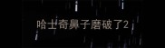 哈士奇鼻子磨破了