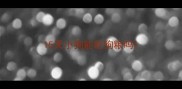 15天小狗能吃狗粮吗