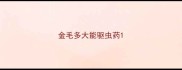 金毛多大能驱虫药