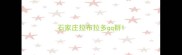 石家庄拉布拉多qq群