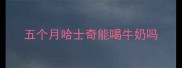 五个月哈士奇能喝牛奶吗