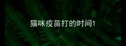 猫咪疫苗打的时间