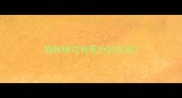 猫咪嘴边有黑色的东西