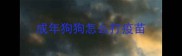 成年狗狗怎么打疫苗