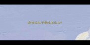 边牧拉肚子呕吐怎么办