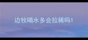 边牧喝水多会拉稀吗