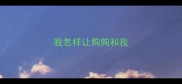 我怎样让狗狗和我