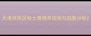 天津河西区哈士奇领养现状与趋势分析