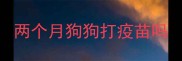 两个月狗狗打疫苗吗