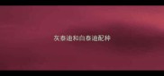 灰泰迪和白泰迪配种