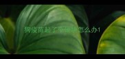 狗疫苗起了个硬块怎么办