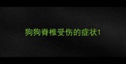狗狗脊椎受伤的症状