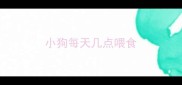 小狗每天几点喂食