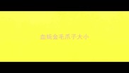血统金毛爪子大小