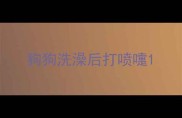 狗狗洗澡后打喷嚏