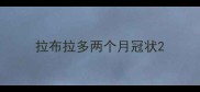 拉布拉多两个月冠状