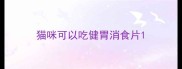 猫咪可以吃健胃消食片