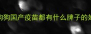 狗狗国产疫苗都有什么牌子的好