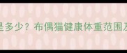 14个月布偶猫体重标准是多少布偶猫健康体重范围及饲养全攻略附对比图