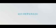 幼犬卡斯罗拉布拉多