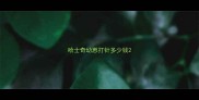 哈士奇幼崽打针多少钱
