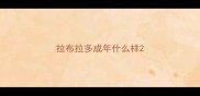 拉布拉多成年什么样