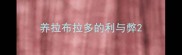 养拉布拉多的利与弊